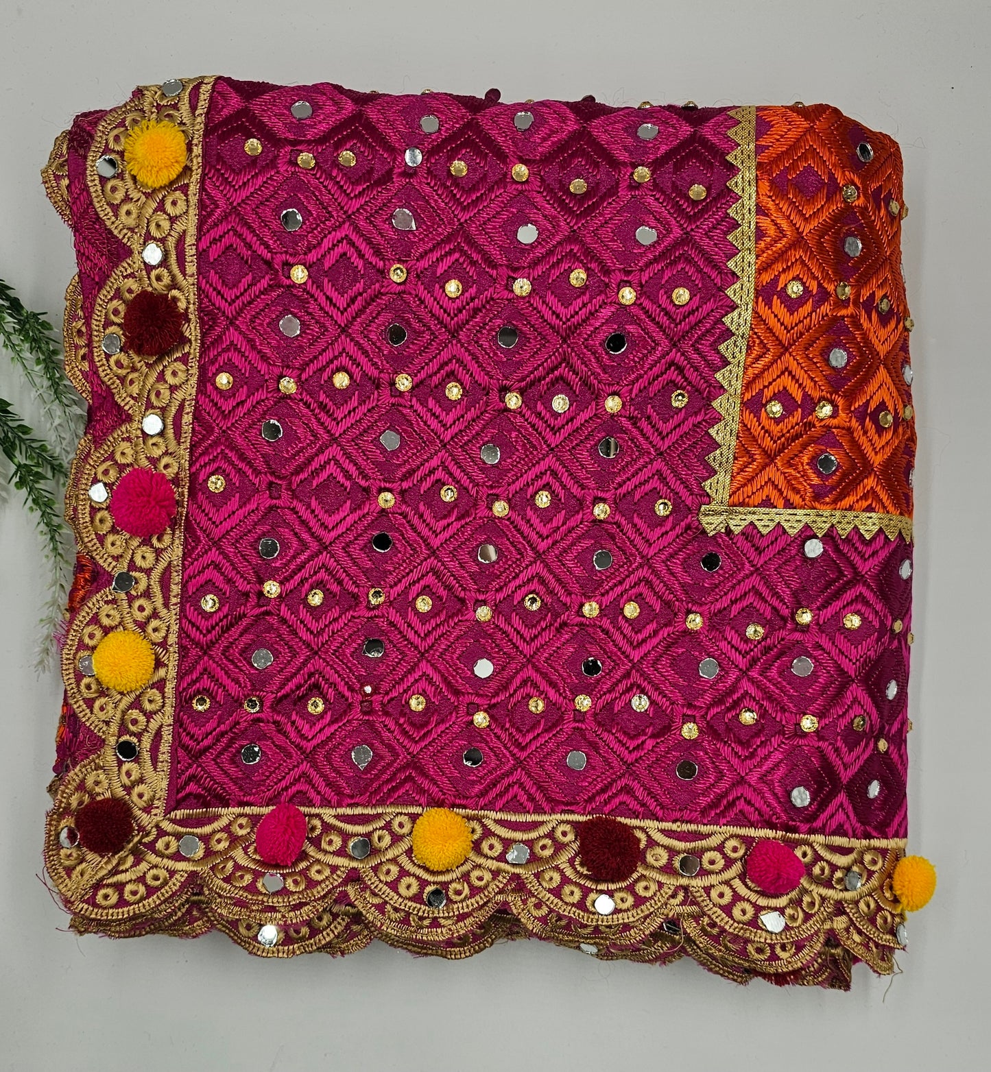 Harnaaz Phulkari