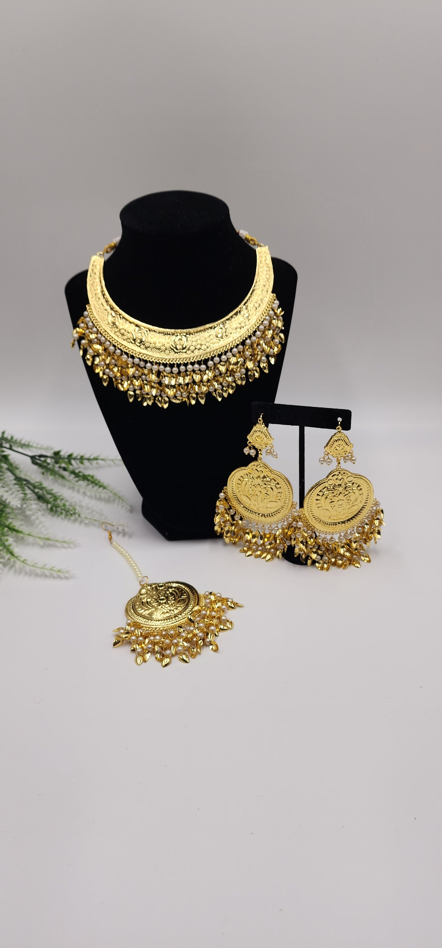 Ronak Traditional Set